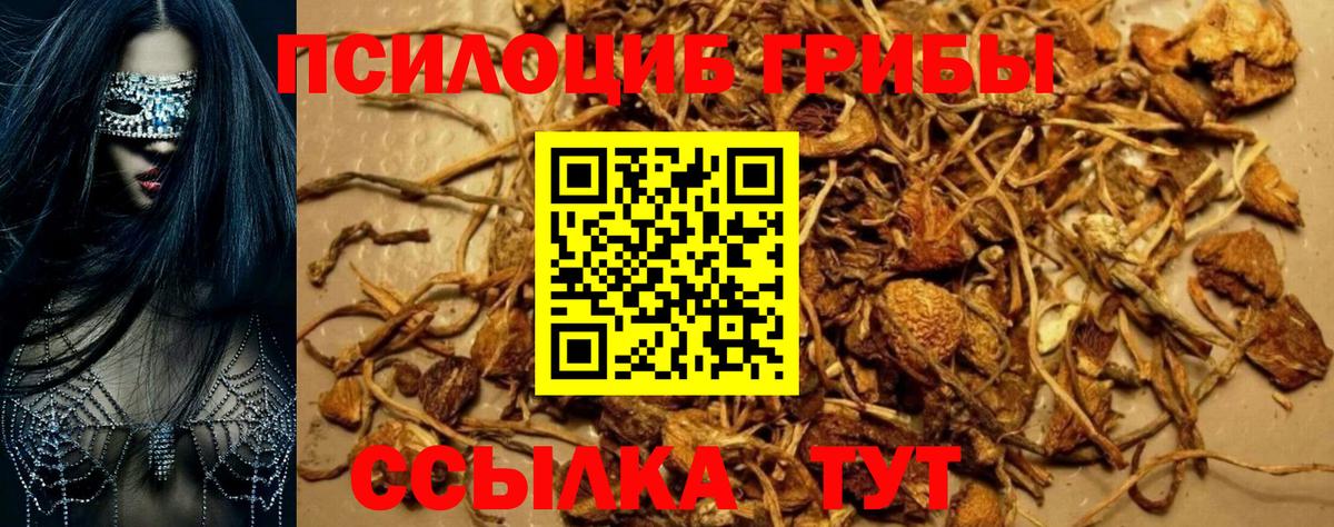 Галлюциногенные грибы Magic Shrooms  Вход с VPN  Абакан 